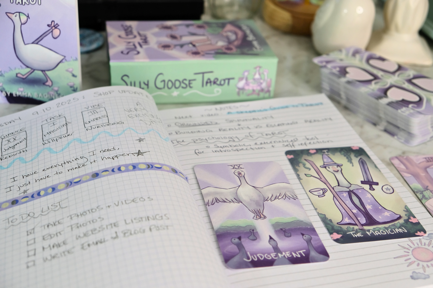 Silly Goose Journal